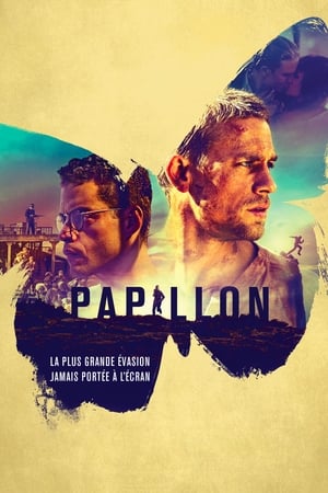 Poster Papillon 2017