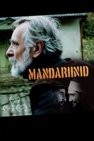 Poster Mandariinid 2013