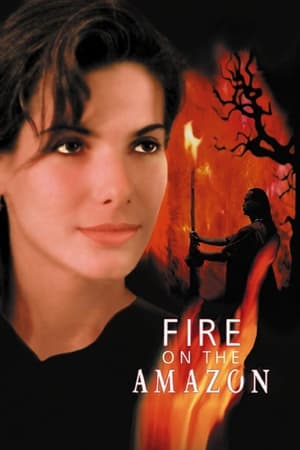 Poster Fire on the Amazon 1993
