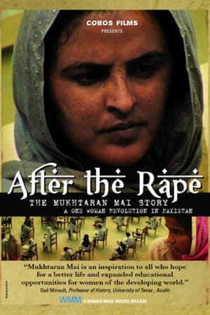 Poster After the Rape 2008
