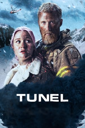 Poster Tunel 2019