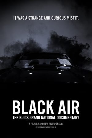 Image Black Air: The Buick Grand National Documentary