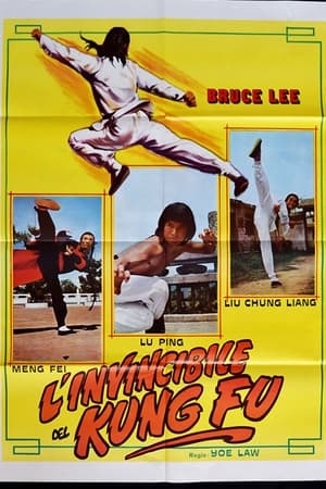 Image Bruce Lee l'invincibile del kung fu