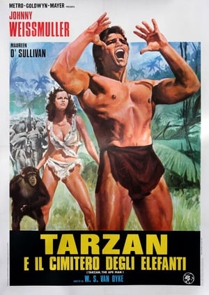 Image Tarzan, l'uomo scimmia