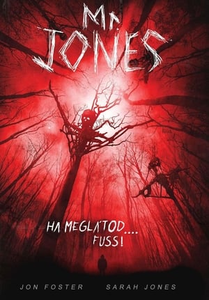 Poster Mr. Jones 2013