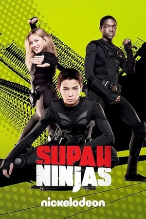Poster Supah Ninjas 2011