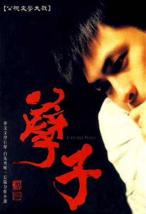 Poster 孽子 2003