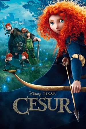 Poster Cesur 2012