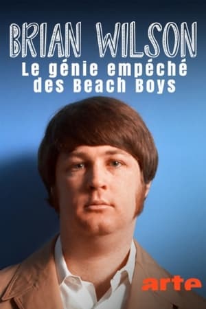 Poster Brian Wilson – Le génie empêché des Beach Boys 2023