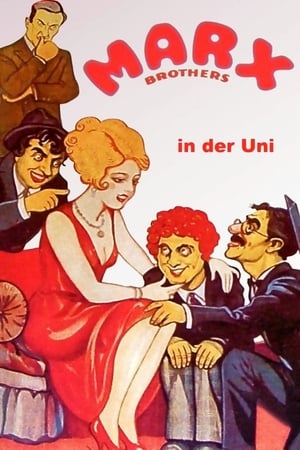 Image Die Marx Brothers in der Uni