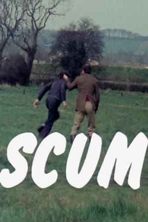 Poster Scum 1977