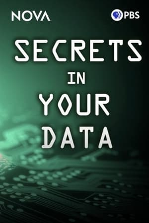 Poster Secrets in Your Data 2024