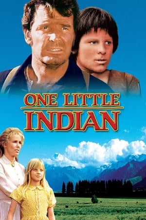 Poster El pequeño indio 1973