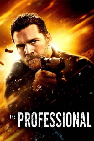 Poster The Professional 2017