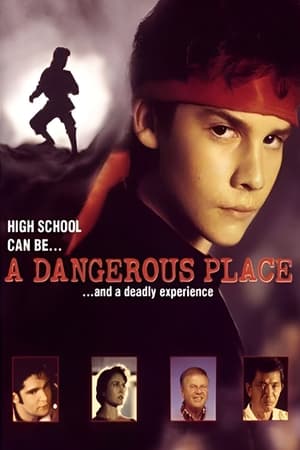 Poster Veszélyek iskolája 1994
