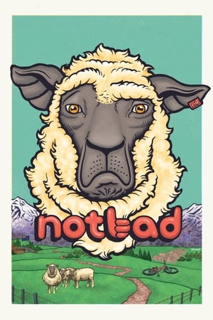 Poster NotBad 2013