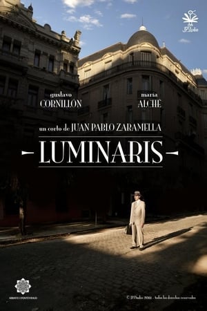 Poster Luminaris 2011