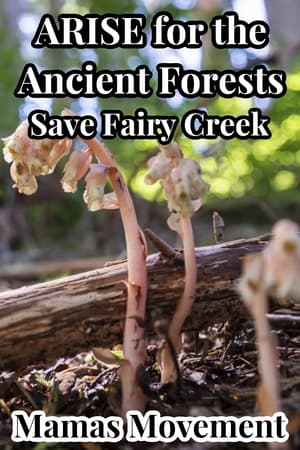 Poster ARISE for the Ancient Forests | Save Fairy Creek 