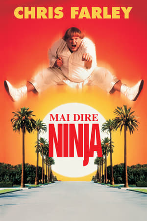 Poster Mai dire ninja 1997