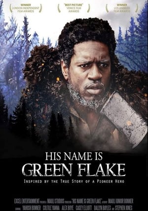 Poster Green Flake 2020