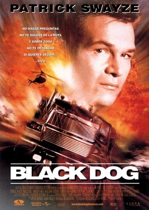 Poster Black Dog 1998