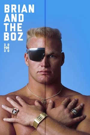 Poster Brian and the Boz 2014