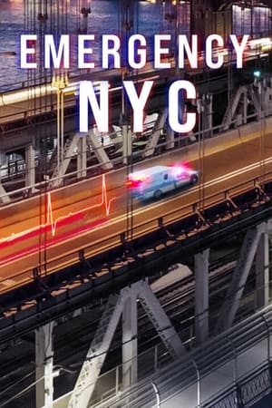 Image Pogotowie: Nowy Jork