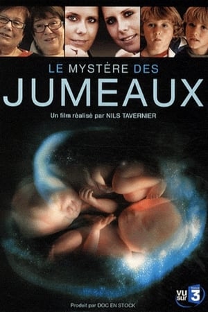Poster Le mystère des jumeaux 2009