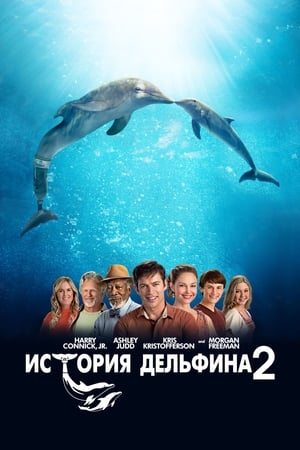 Poster История дельфина 2 2014