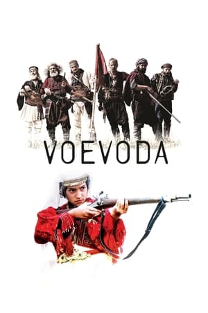 Poster Voevoda 2017