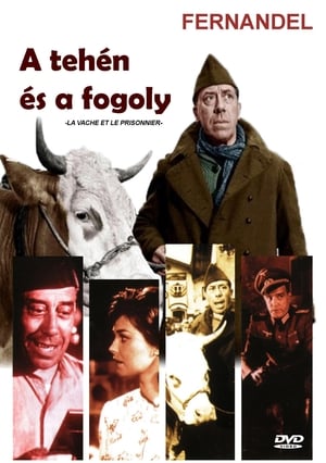Poster A tehén és a fogoly 1959