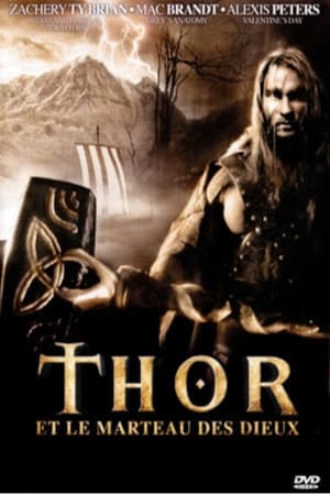 Poster Thor et le Marteau des Dieux 2009