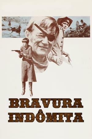 Poster A Velha Raposa 1969