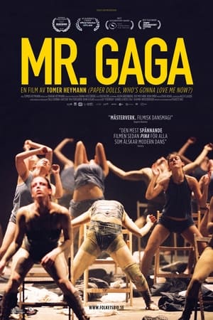 Poster Mr. Gaga 2015
