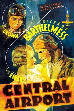 Poster Central Airport 1933