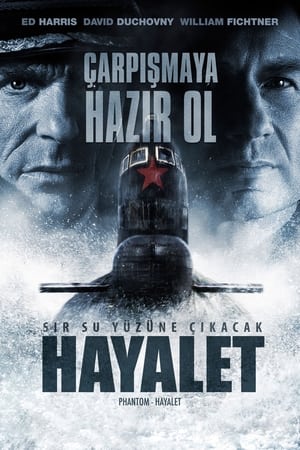 Poster Hayalet 2013