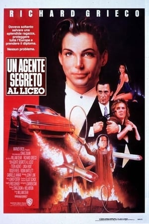 Poster Un agente segreto al liceo 1991