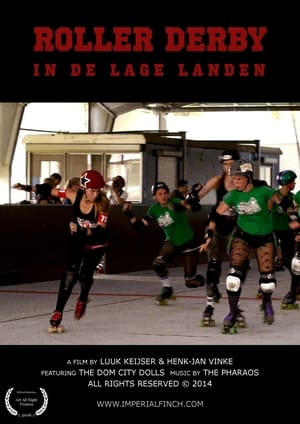 Poster ROLLER DERBY IN THE LOW COUNTRIES 2014