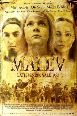 Poster Malev 2005