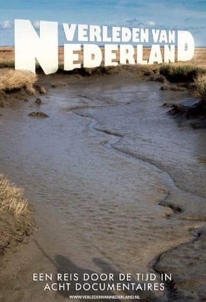 Poster Het verleden van Nederland 2008