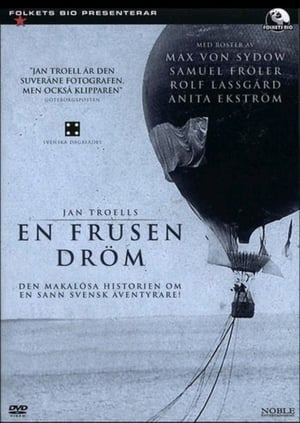 Poster En frusen dröm 1997