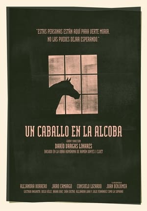 Poster Un caballo en la alcoba 2024