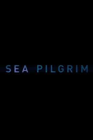 Image Sea Pilgrim