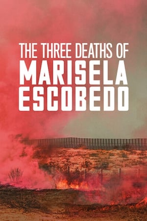 Image Marisela Escobedo: En tragedi i tre akter