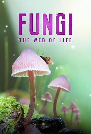 Poster Fungi: The Web of Life 2023