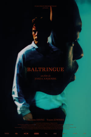 Poster Baltringue 2019