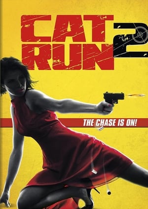 Poster Cat Run 2 2014