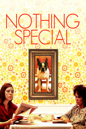 Poster Nothing Special 2010