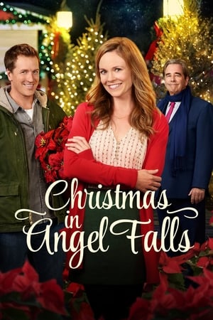 Poster Christmas in Angel Falls 2017