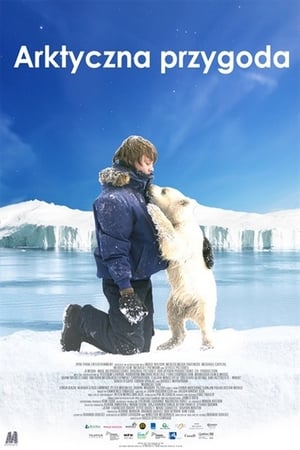 Poster Arktyczna Przygoda 2014